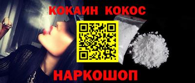 крисы Новозыбков