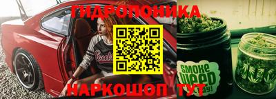 крисы Новозыбков