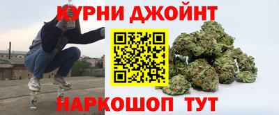 крисы Новозыбков