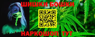 крисы Новозыбков