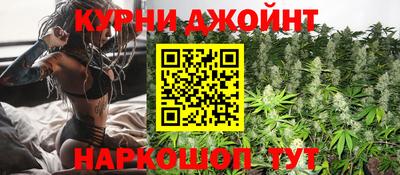 гашик Новодвинск