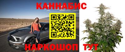 гашик Новодвинск
