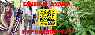 гашик Новодвинск