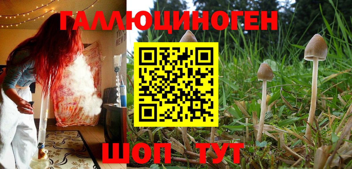 Галлюциногенные грибы мицелий  где купить наркотик  Ржев  Вход с VPN 